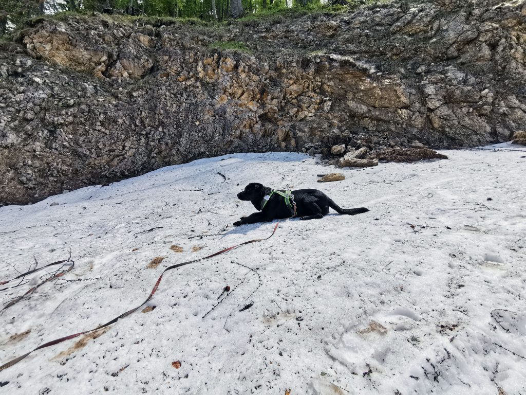 Bleckwand Wandern mit Hund