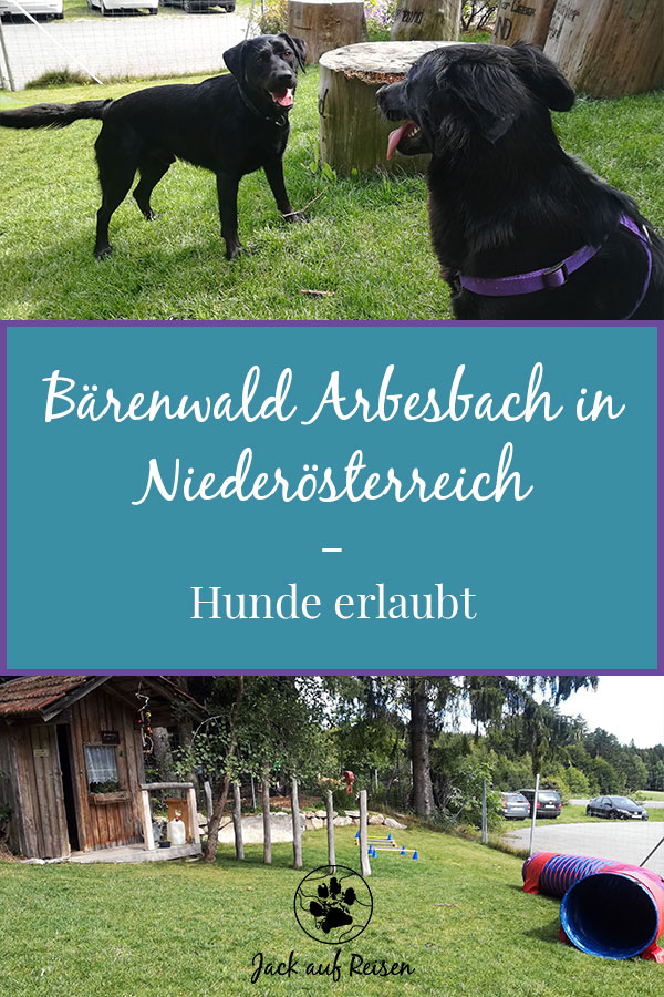 Bärenwald Arbesbach Hunde Pin