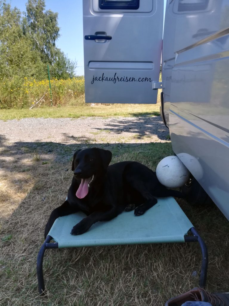 Camping-Liege für Hunde