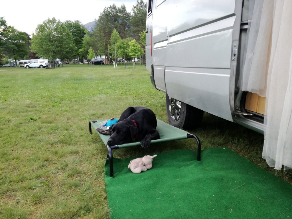 Camping mit Hund in Kärnten