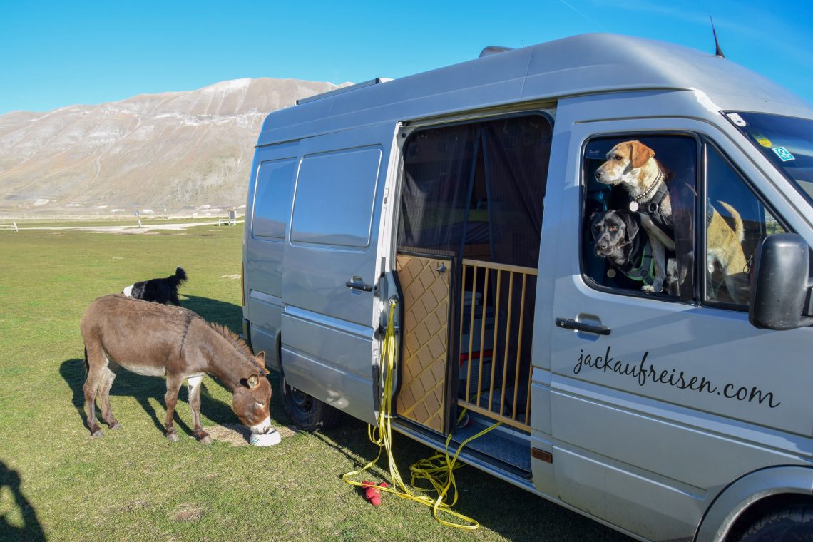 Campingtour durch Italien mit Hund