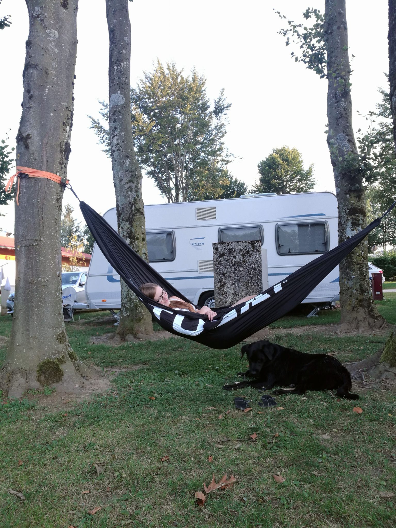 Strandcamping Waging am See Camping mit Hund in Bayern Jack auf Reisen