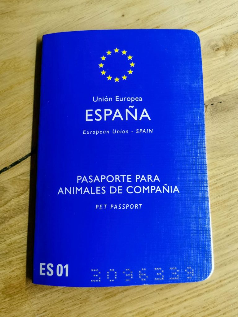 Hund aus Spanien adoptieren