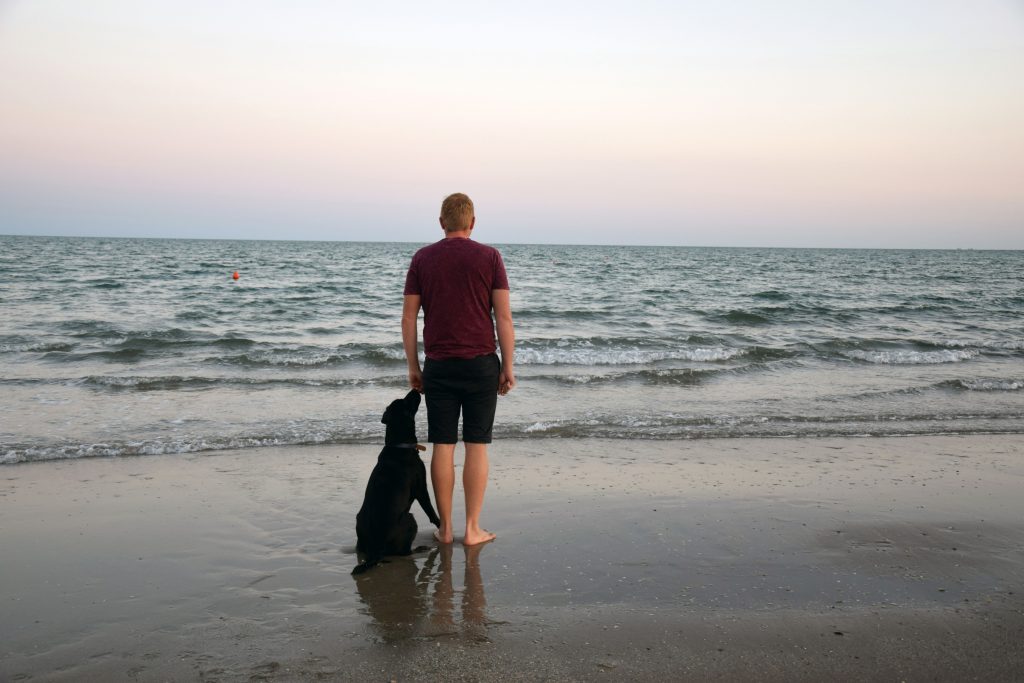 Hund und Herrchen am Strand