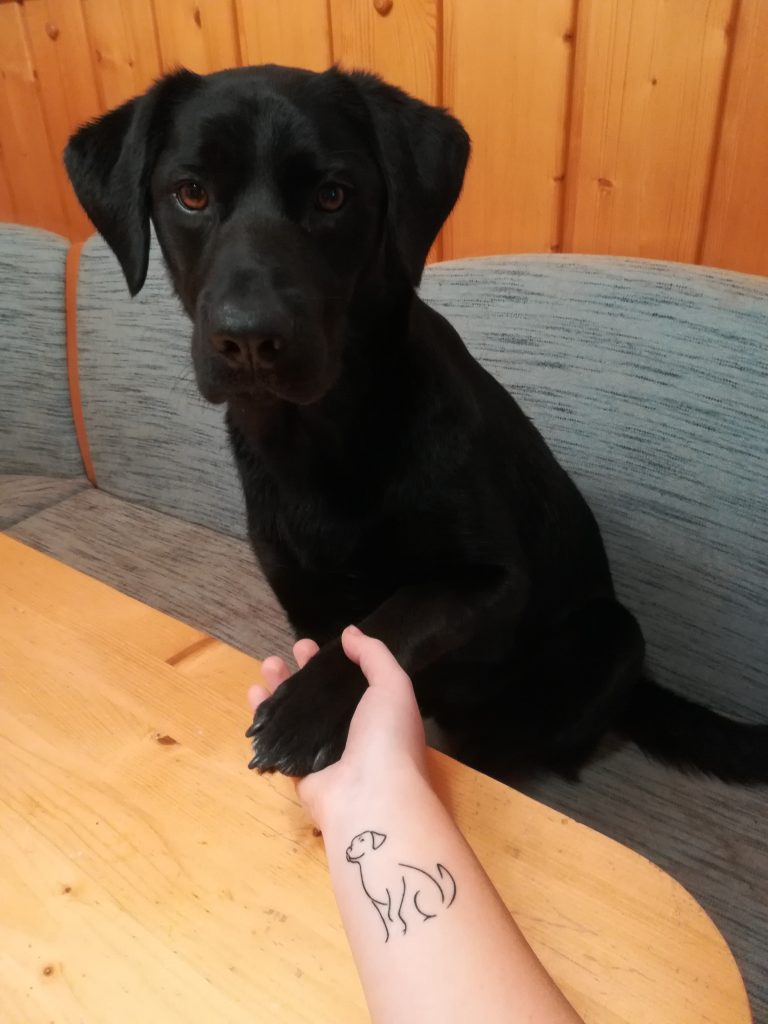 Tattoo Hund Labrador