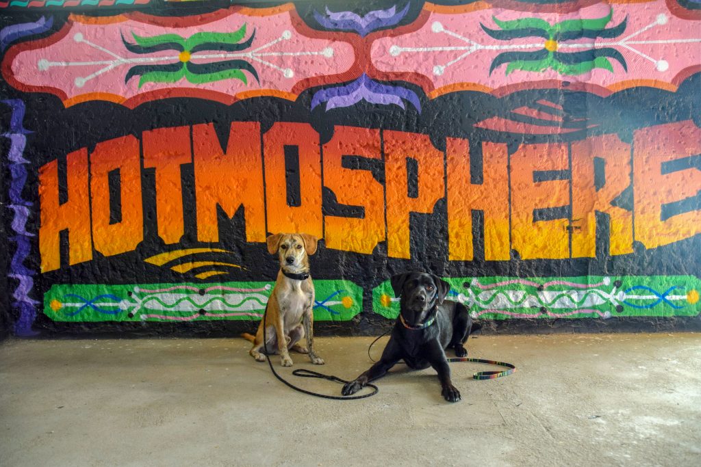 Panorâmico de Monsanto mit Hund