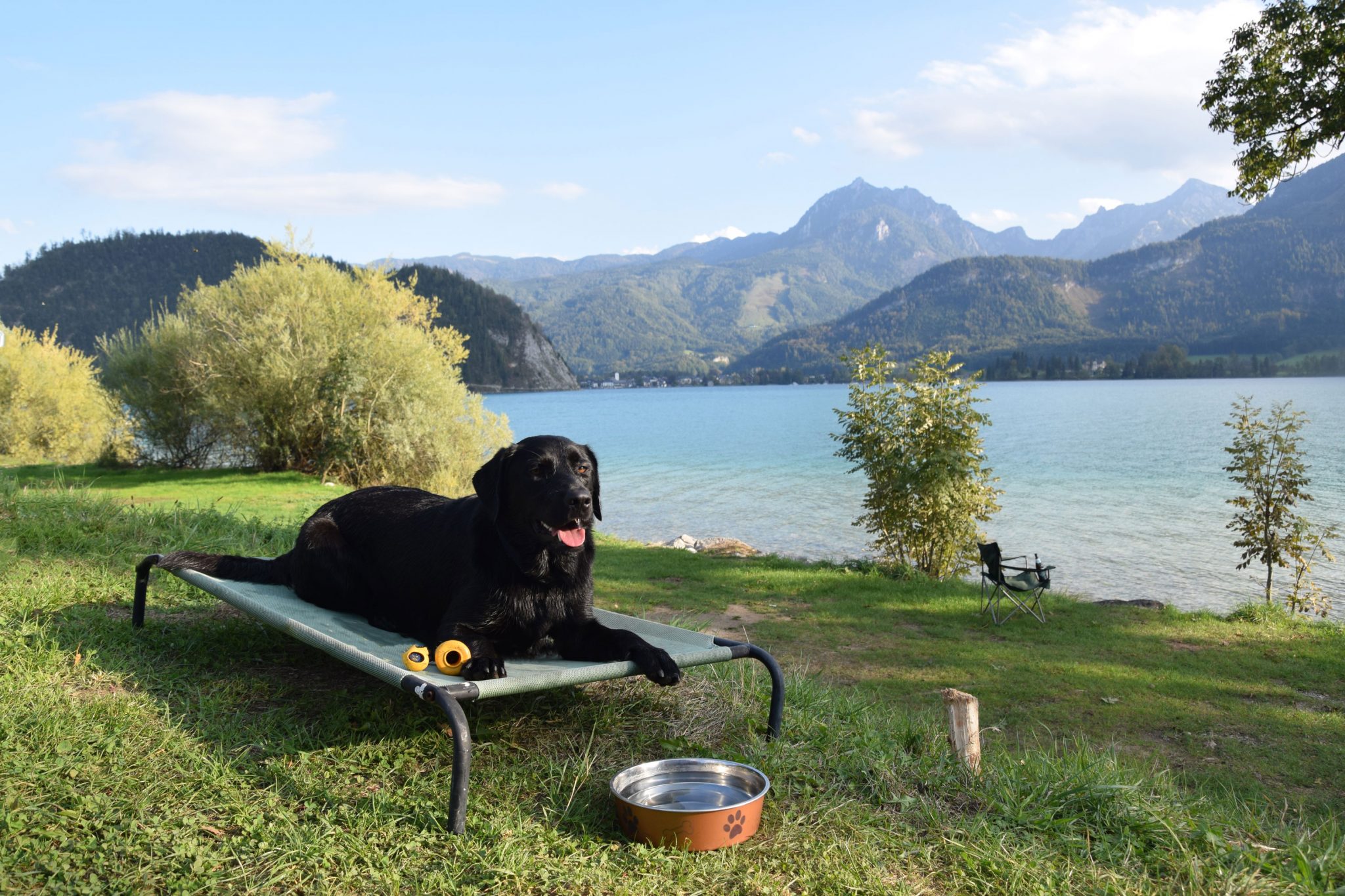 Campen, Wandern und Baden mit Hund Camping mit Hund am Wolfgangsee
